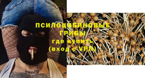 молекула духа Нягань