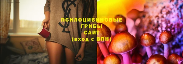 амф Остров