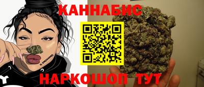 Альфа ПВП Заволжье