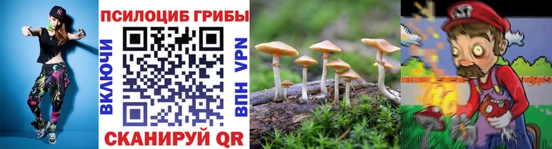 купить наркоту  Ревда  Галлюциногенные грибы Psilocybine cubensis 