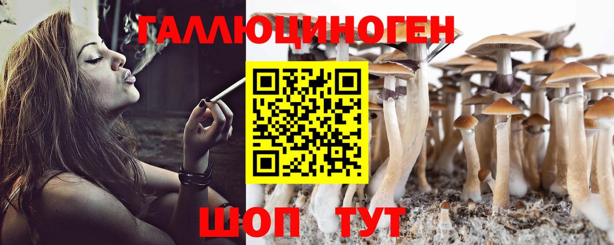 Галлюциногенные грибы Psilocybe  Вход с VPN  Ревда 