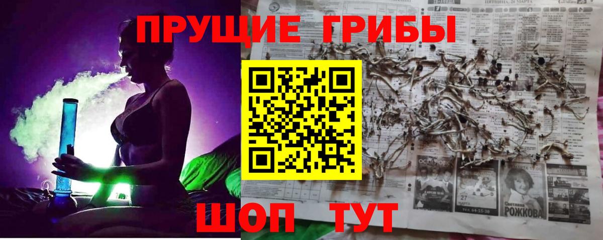 Галлюциногенные грибы GOLDEN TEACHER Ревда