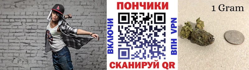 закладка Ревда Конопля гибрид