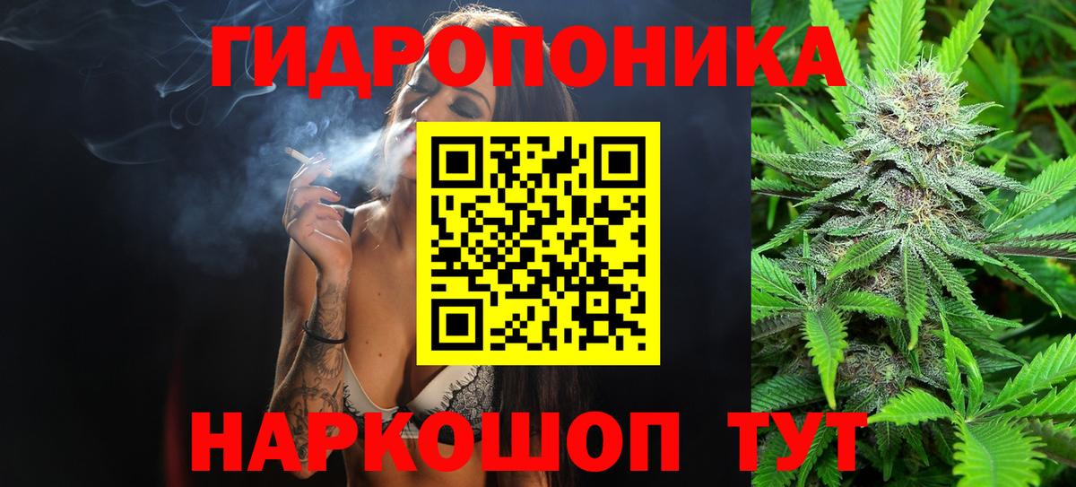Марихуана сатива  Бошки марихуана планчик  Каннабис сатива  Ревда  Вход с VPN  МАРИХУАНА Bruce Banner 